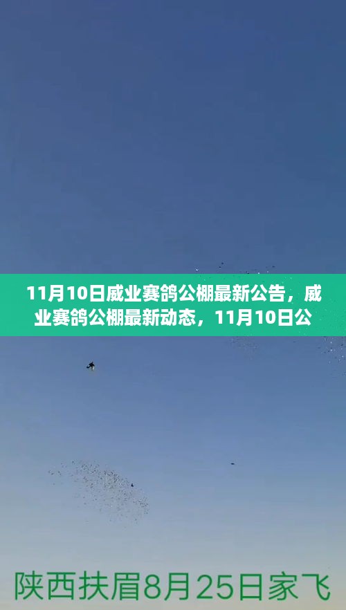 政策通知 第19页